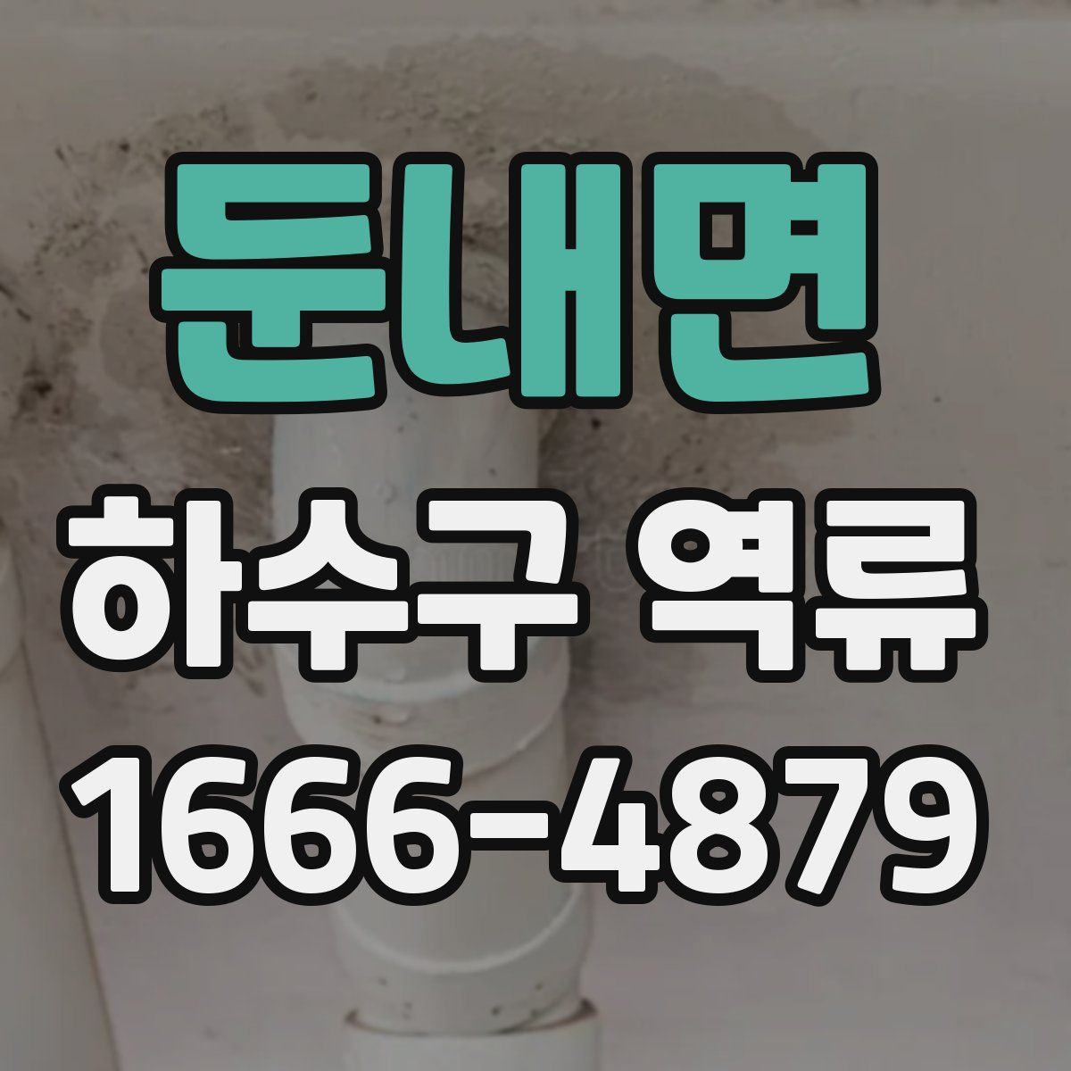 둔내면 하수구 역류