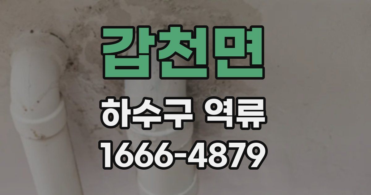 갑천면 하수구 역류