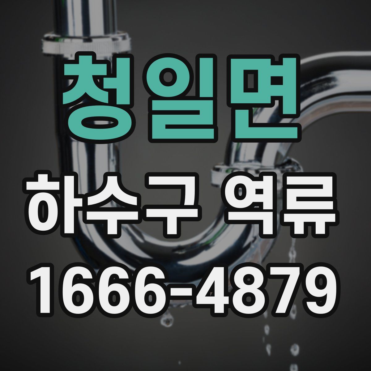 청일면 하수구 역류