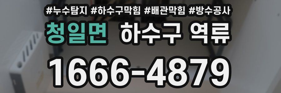 청일면 하수구 역류