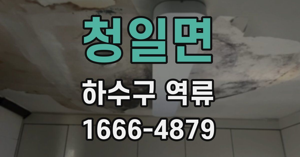 청일면 하수구 역류