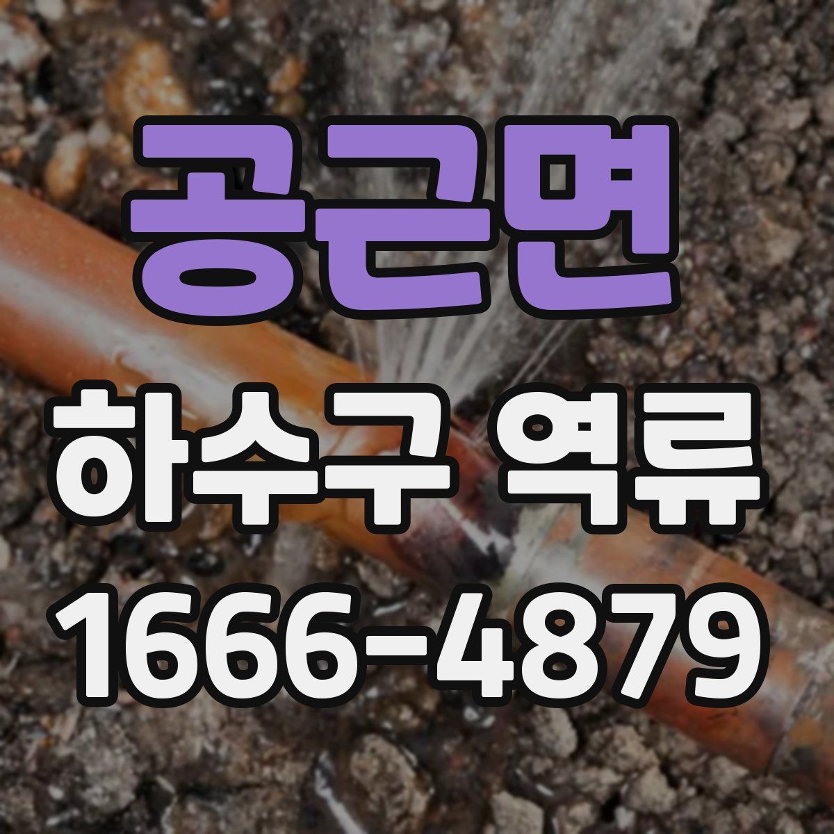 공근면 하수구 역류