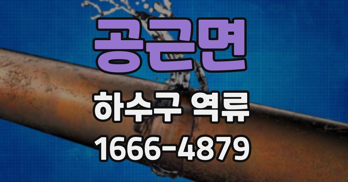 공근면 하수구 역류