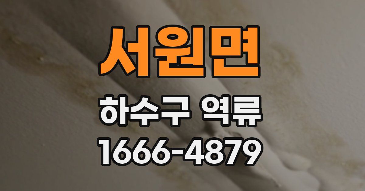 서원면 하수구 역류