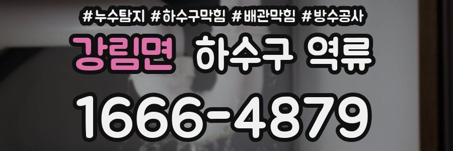 강림면 하수구 역류