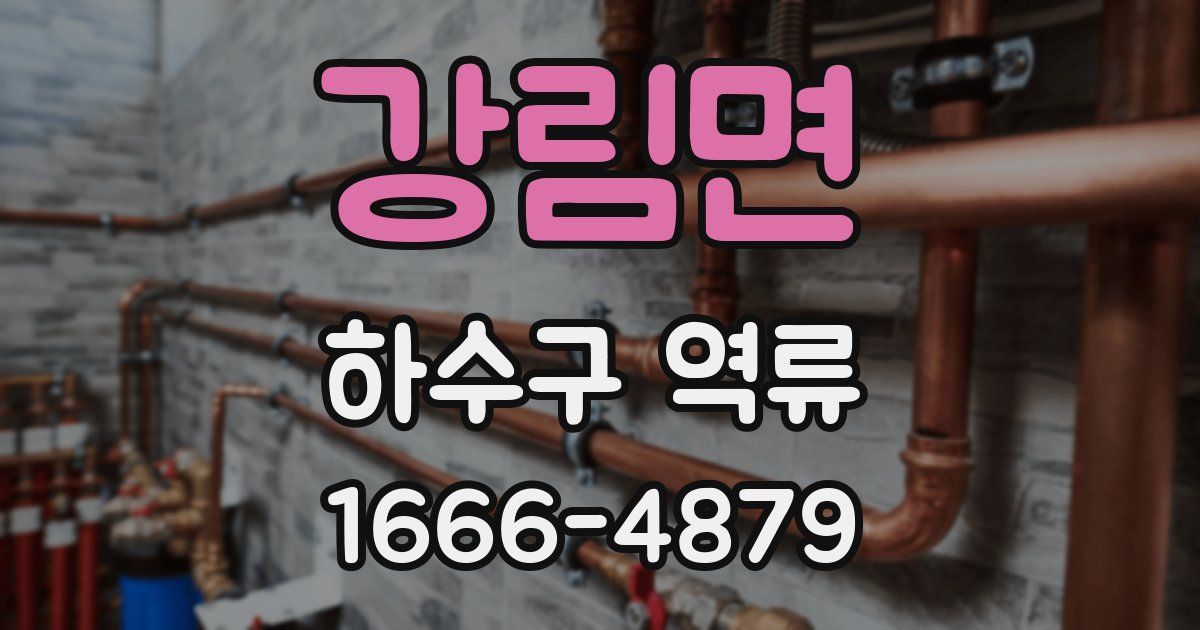 강림면 하수구 역류