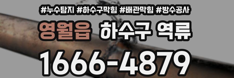 영월읍 하수구 역류