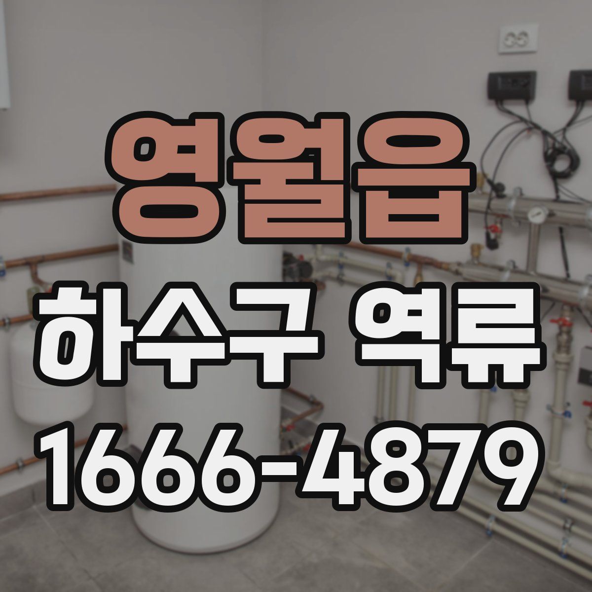 영월읍 하수구 역류
