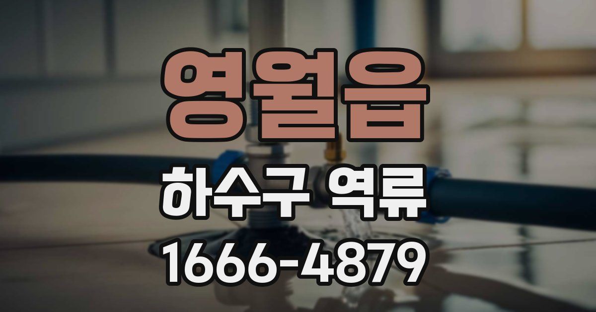 영월읍 하수구 역류
