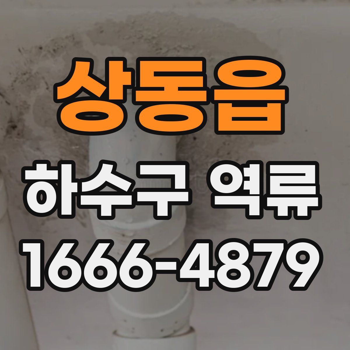 상동읍 하수구 역류