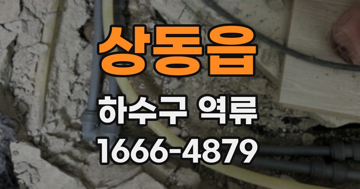 상동읍 하수구 역류