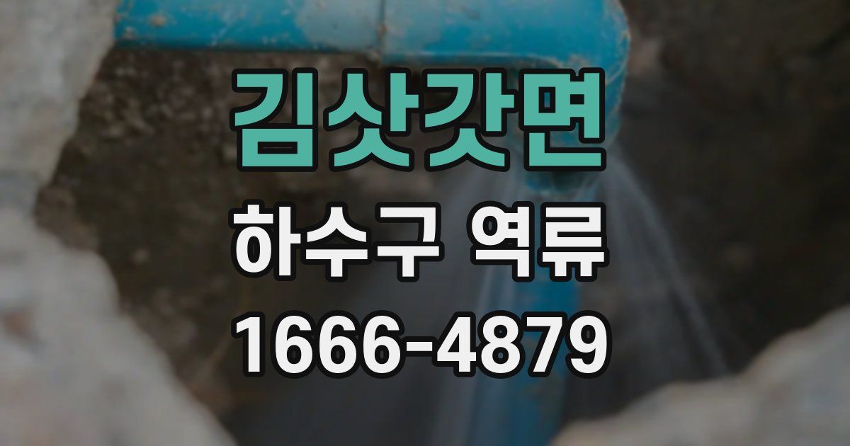 김삿갓면 하수구 역류