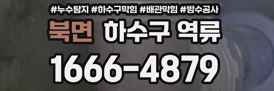 북면 하수구 역류