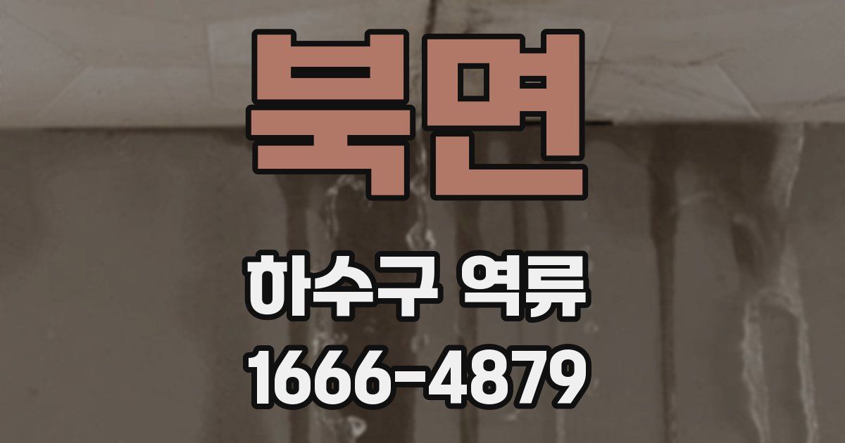 북면 하수구 역류