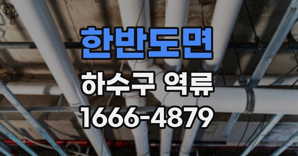 한반도면 하수구 역류