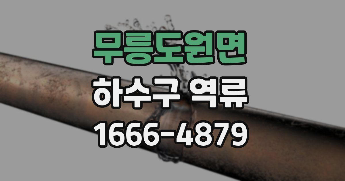 무릉도원면 하수구 역류