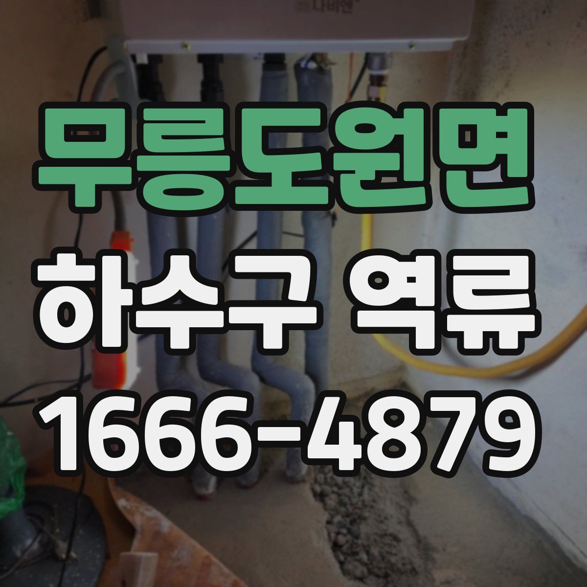 무릉도원면 하수구 역류