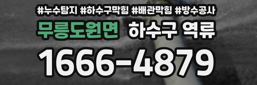 무릉도원면 하수구 역류