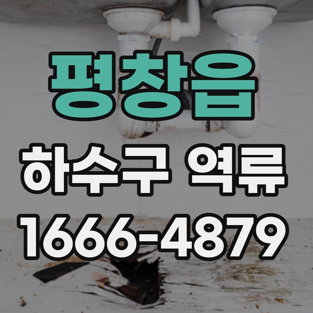 평창읍 하수구 역류