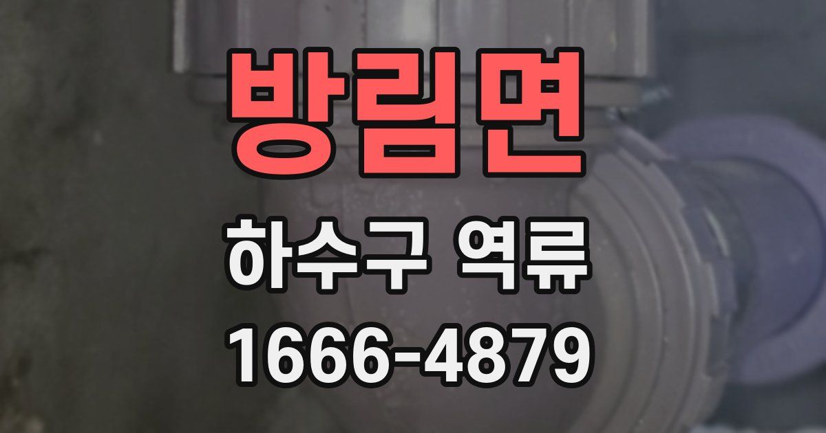 방림면 하수구 역류