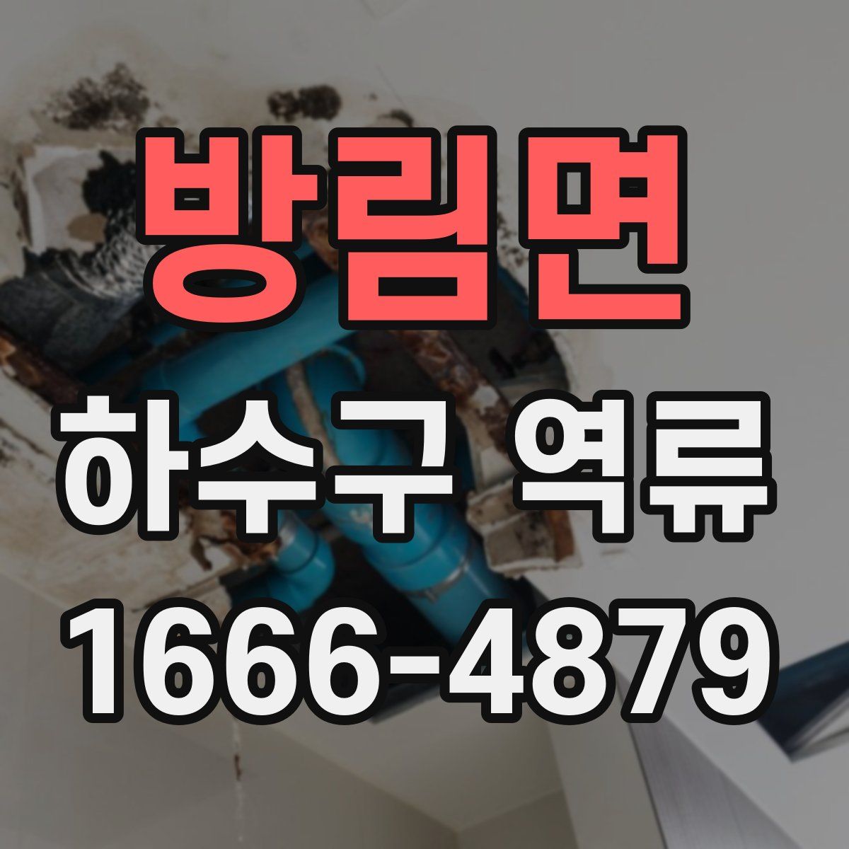 방림면 하수구 역류