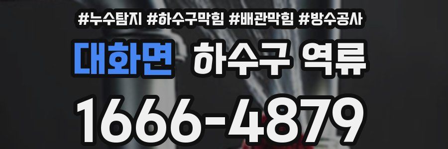 대화면 하수구 역류