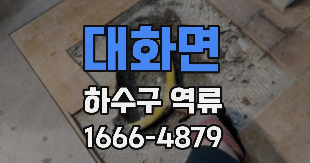 대화면 하수구 역류