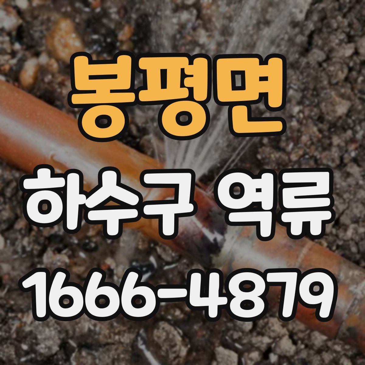 봉평면 하수구 역류