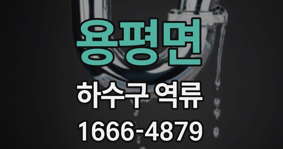 용평면 하수구 역류