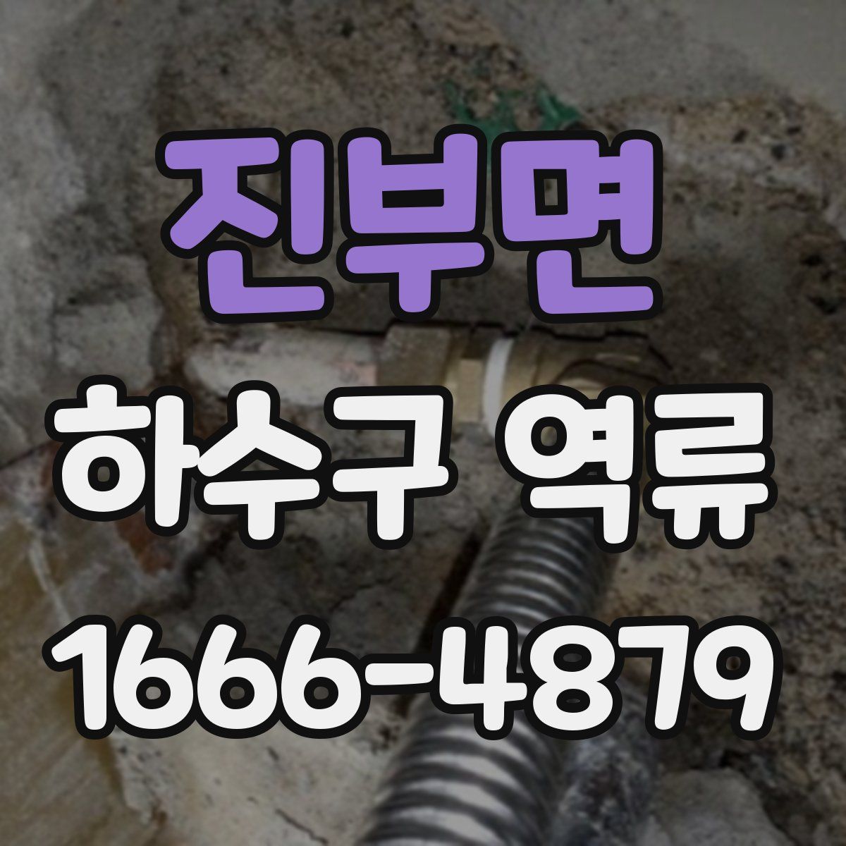 진부면 하수구 역류