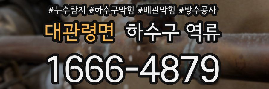 대관령면 하수구 역류
