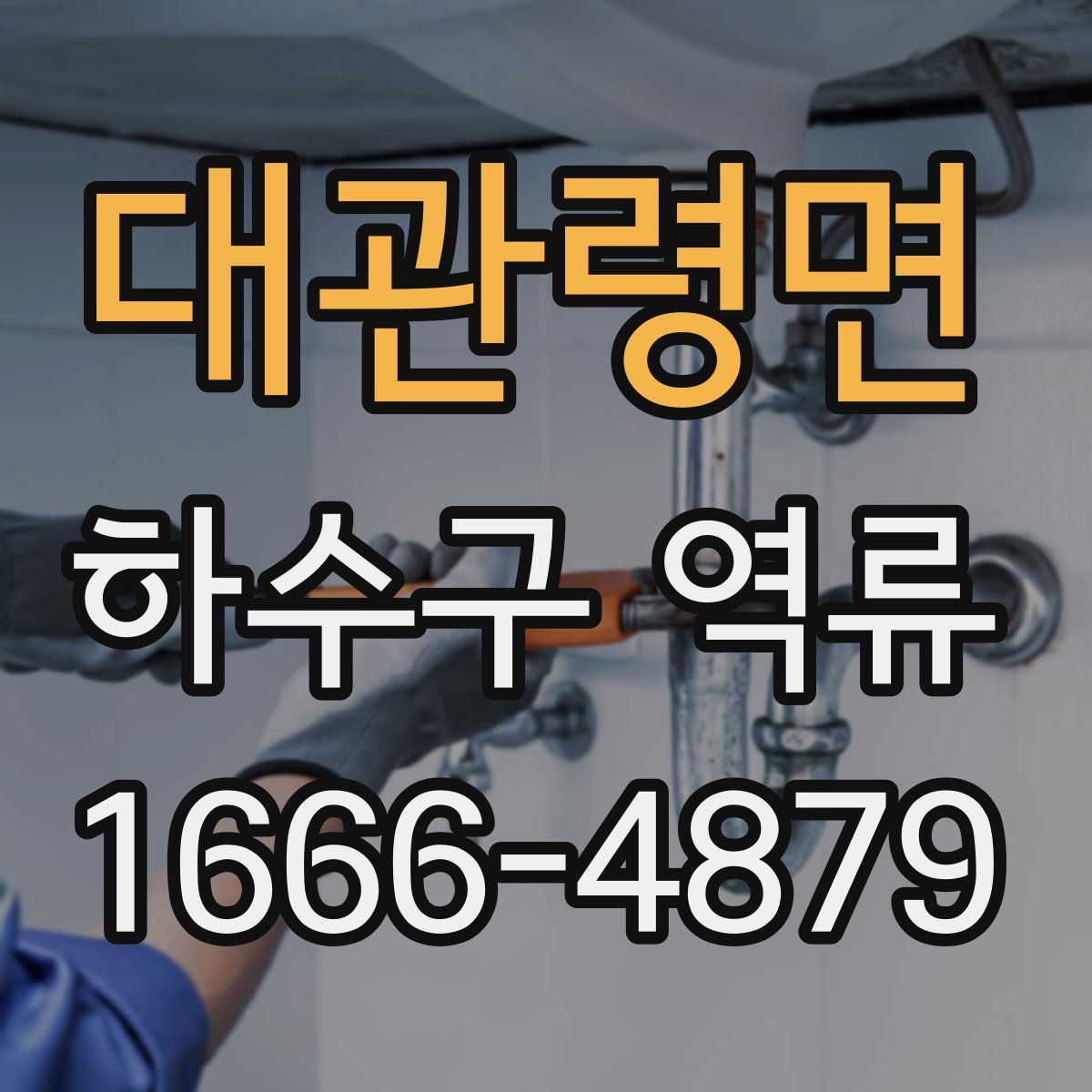 대관령면 하수구 역류
