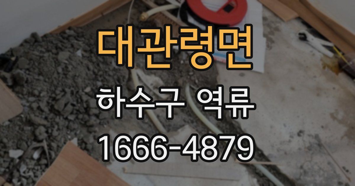 대관령면 하수구 역류