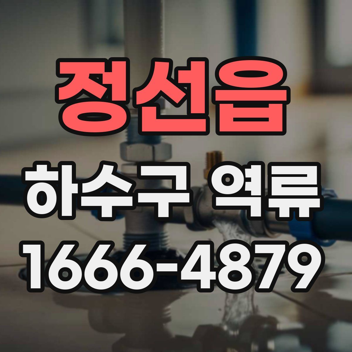 정선읍 하수구 역류