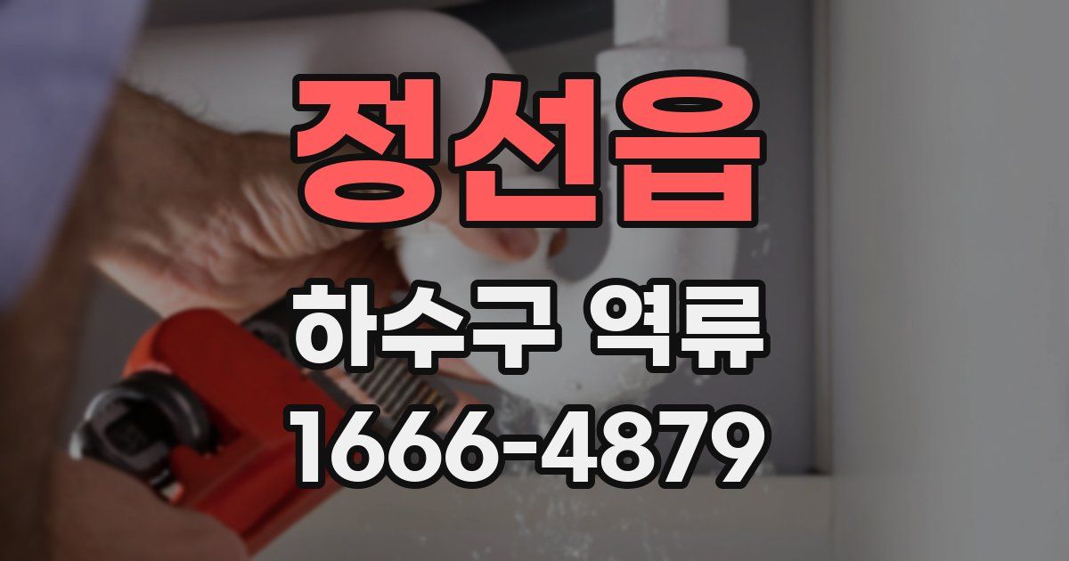 정선읍 하수구 역류