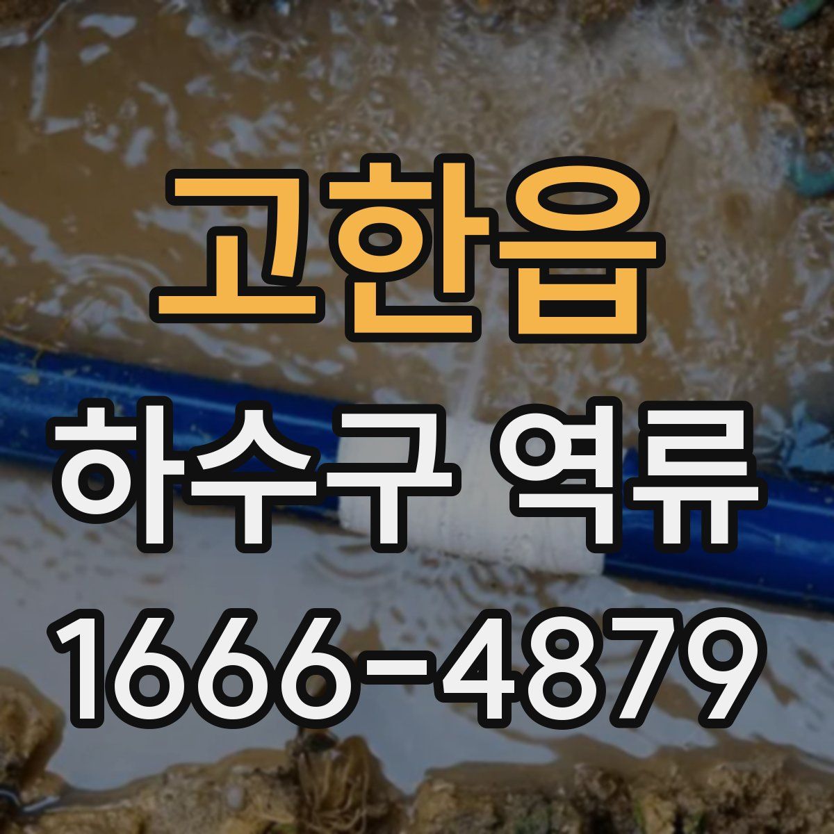 고한읍 하수구 역류