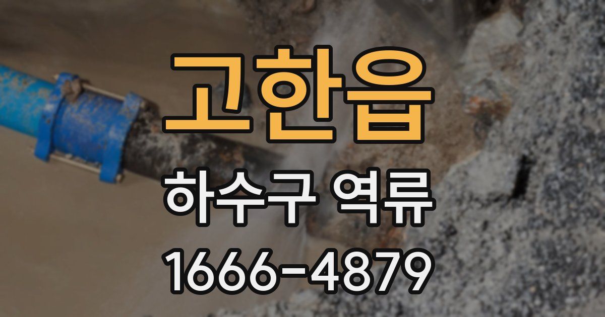 고한읍 하수구 역류
