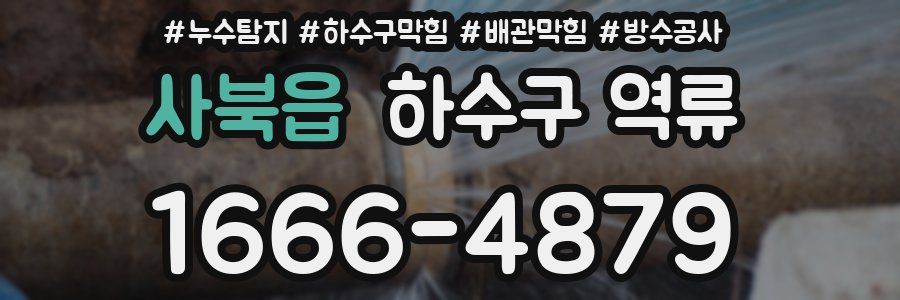 사북읍 하수구 역류