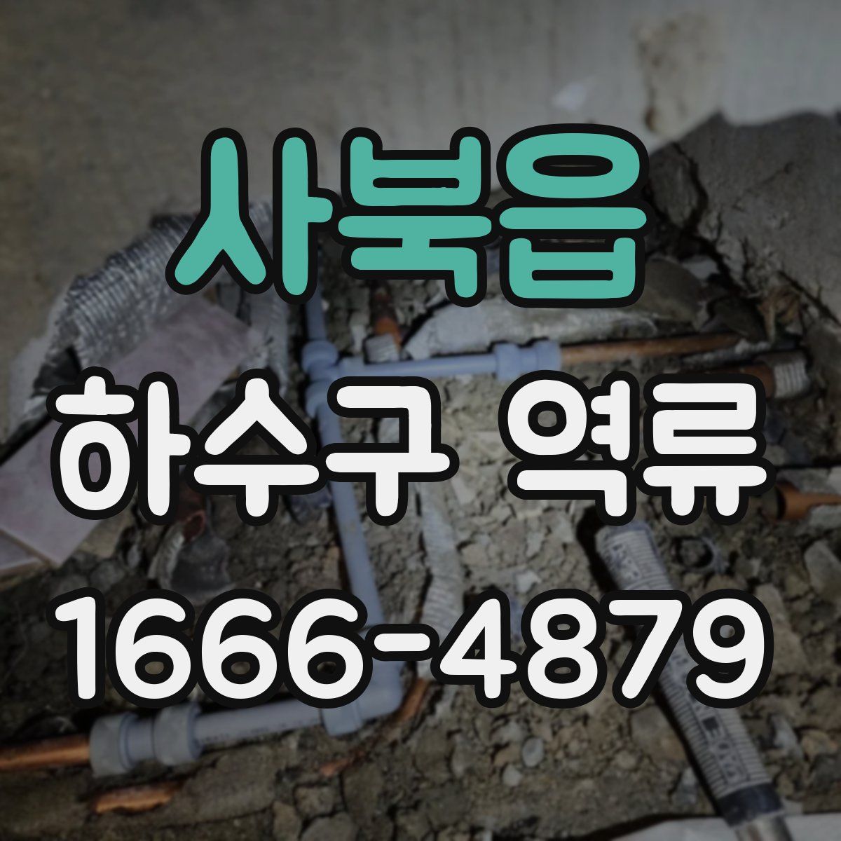 사북읍 하수구 역류