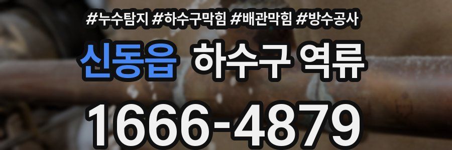 신동읍 하수구 역류