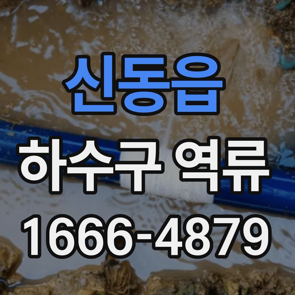 신동읍 하수구 역류