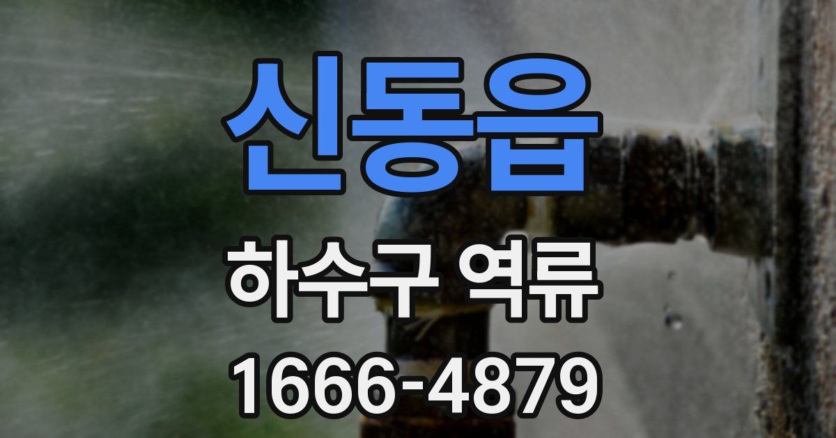 신동읍 하수구 역류