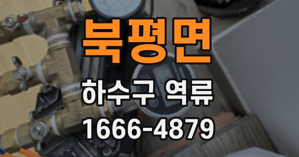 북평면 하수구 역류