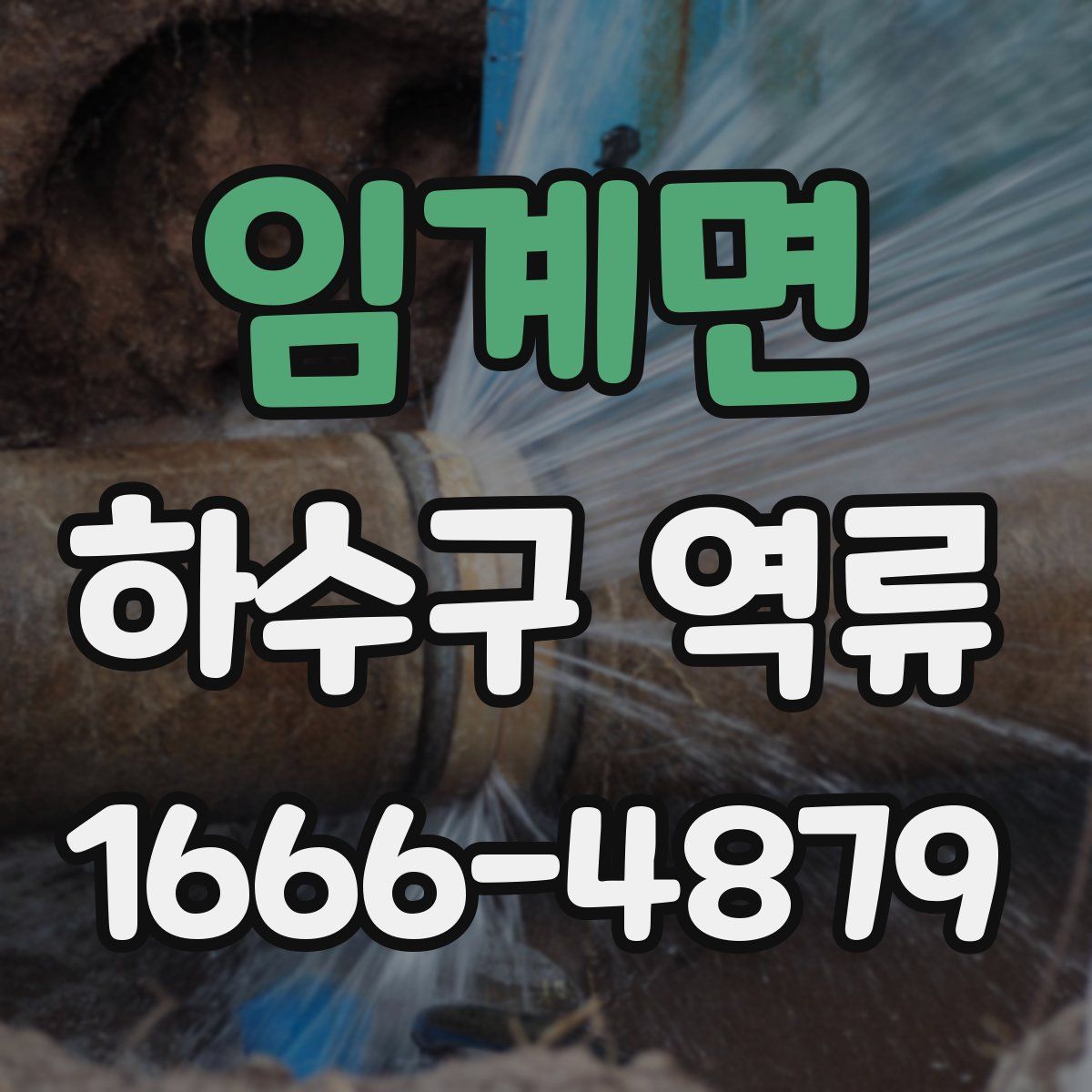 임계면 하수구 역류