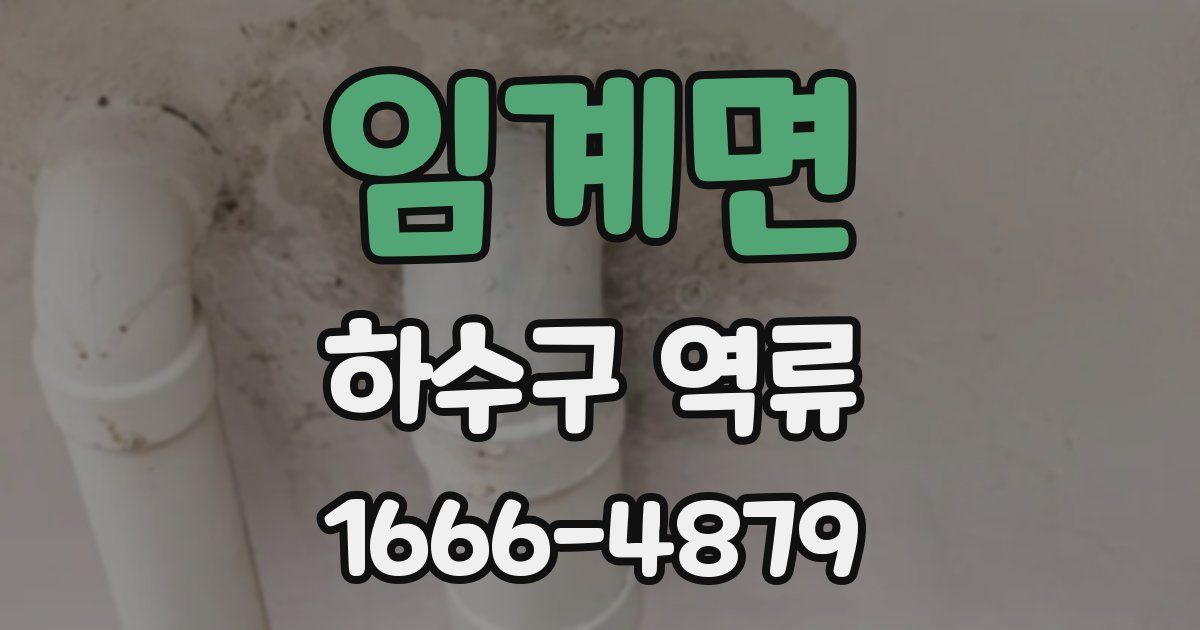 임계면 하수구 역류
