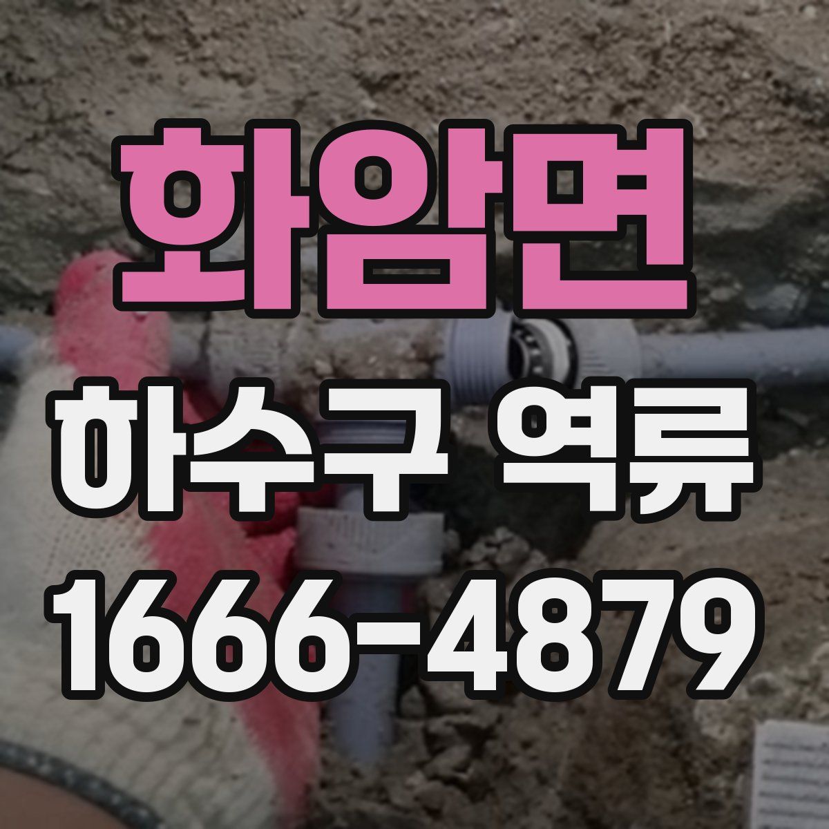 화암면 하수구 역류