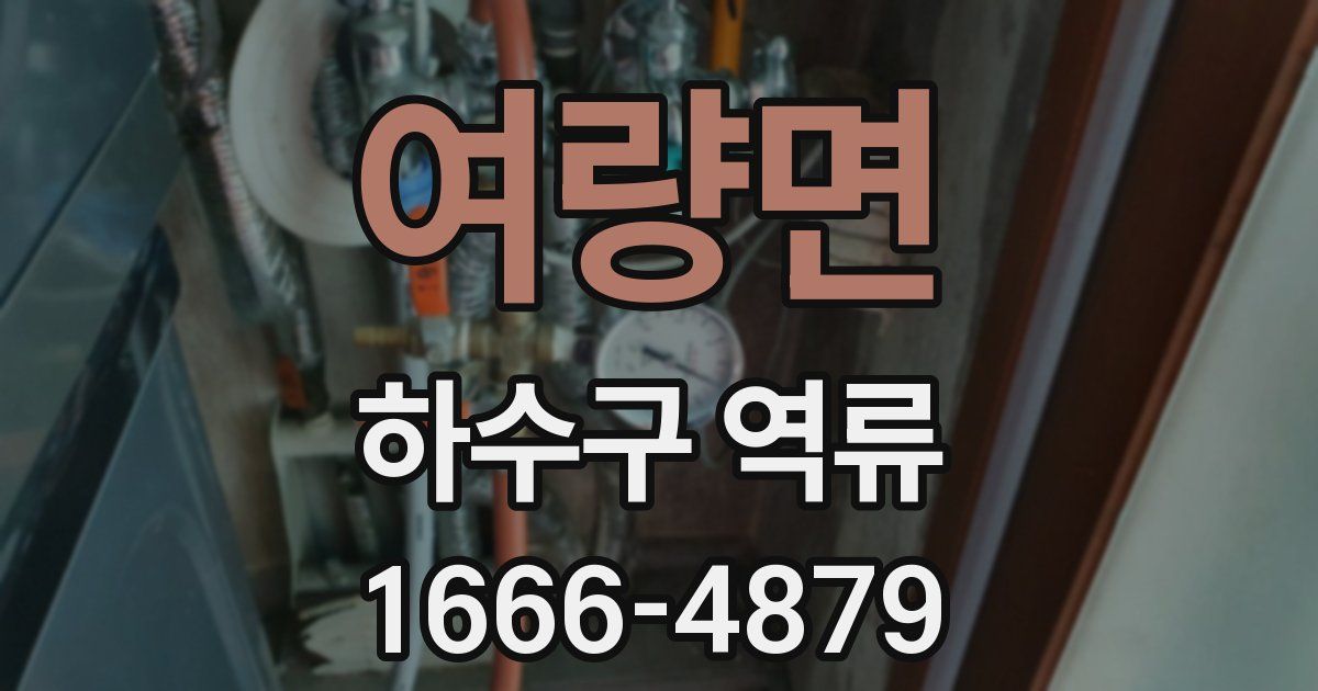 여량면 하수구 역류