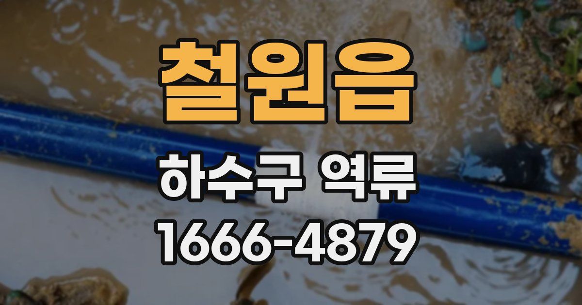 철원읍 하수구 역류