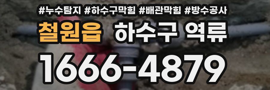 철원읍 하수구 역류