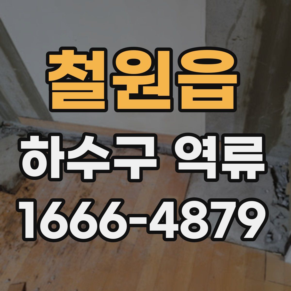 철원읍 하수구 역류